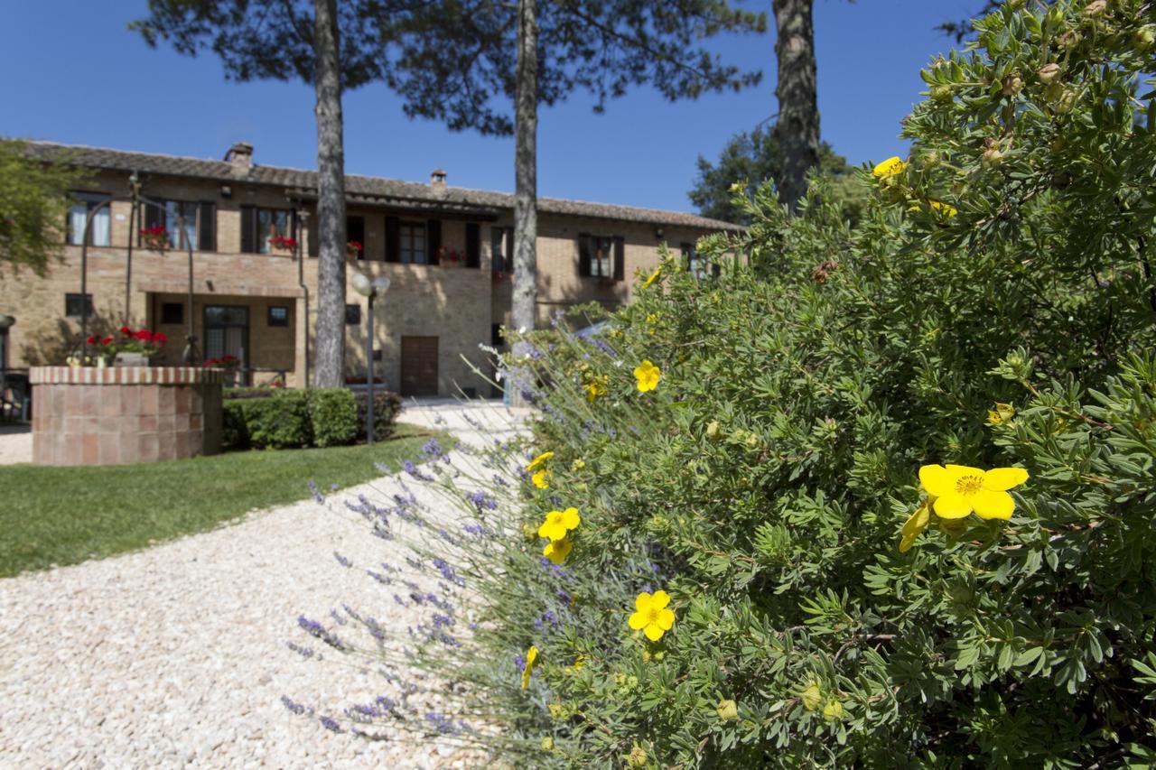 Casale San Galgano Aparthotel Chiusdino Bagian luar foto